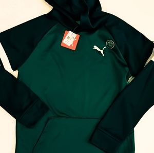 Boys XL 18/20 Puma Acedemy Pack Fleece Pullover Hoodie NWT Blue/Green